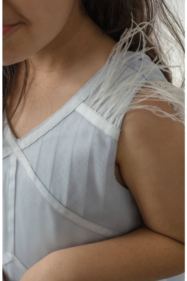 Skylar Tulle Tutu Dress, Alternate, color, Baby Blue