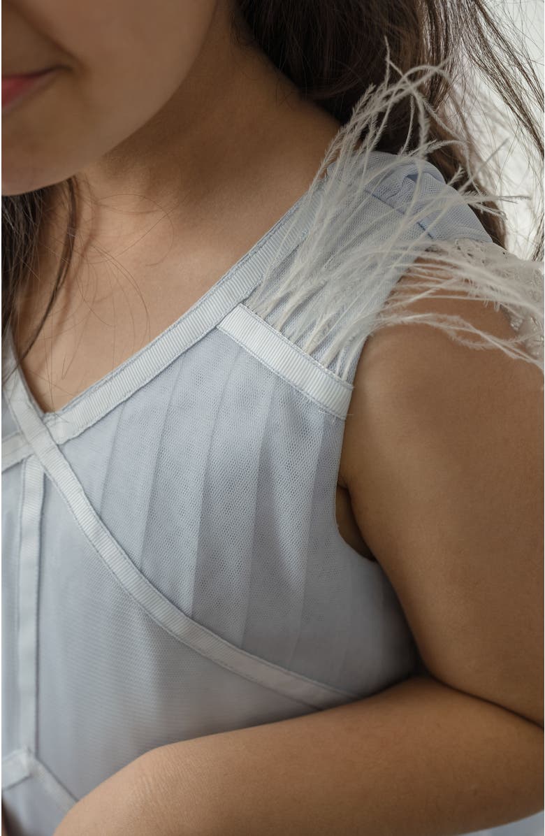 Petite Maison Kids Skylar Tulle Tutu Dress, Alternate, color, Baby Blue