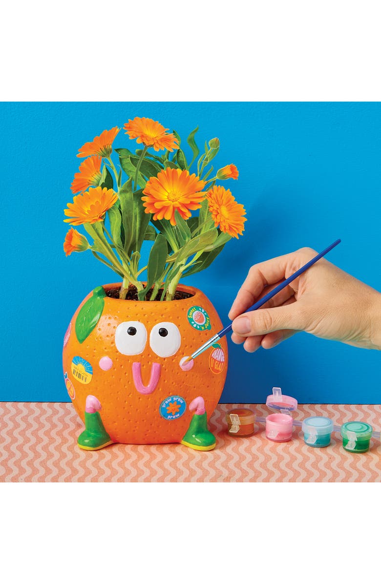 BRIGHT STRIPES Paint & Grow Orange Ceramic Planter & Seeds Set, Alternate, color, Multi