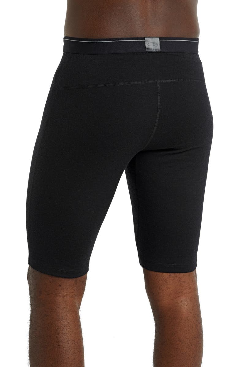 Icebreaker Men's 200 Oasis Merino Wool Shorts, Alternate, color, 