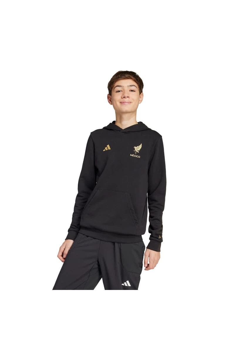 adidas Youth adidas Black Mexico National Team 2025 Third Jersey DNA Pullover Hoodie, Alternate, color,