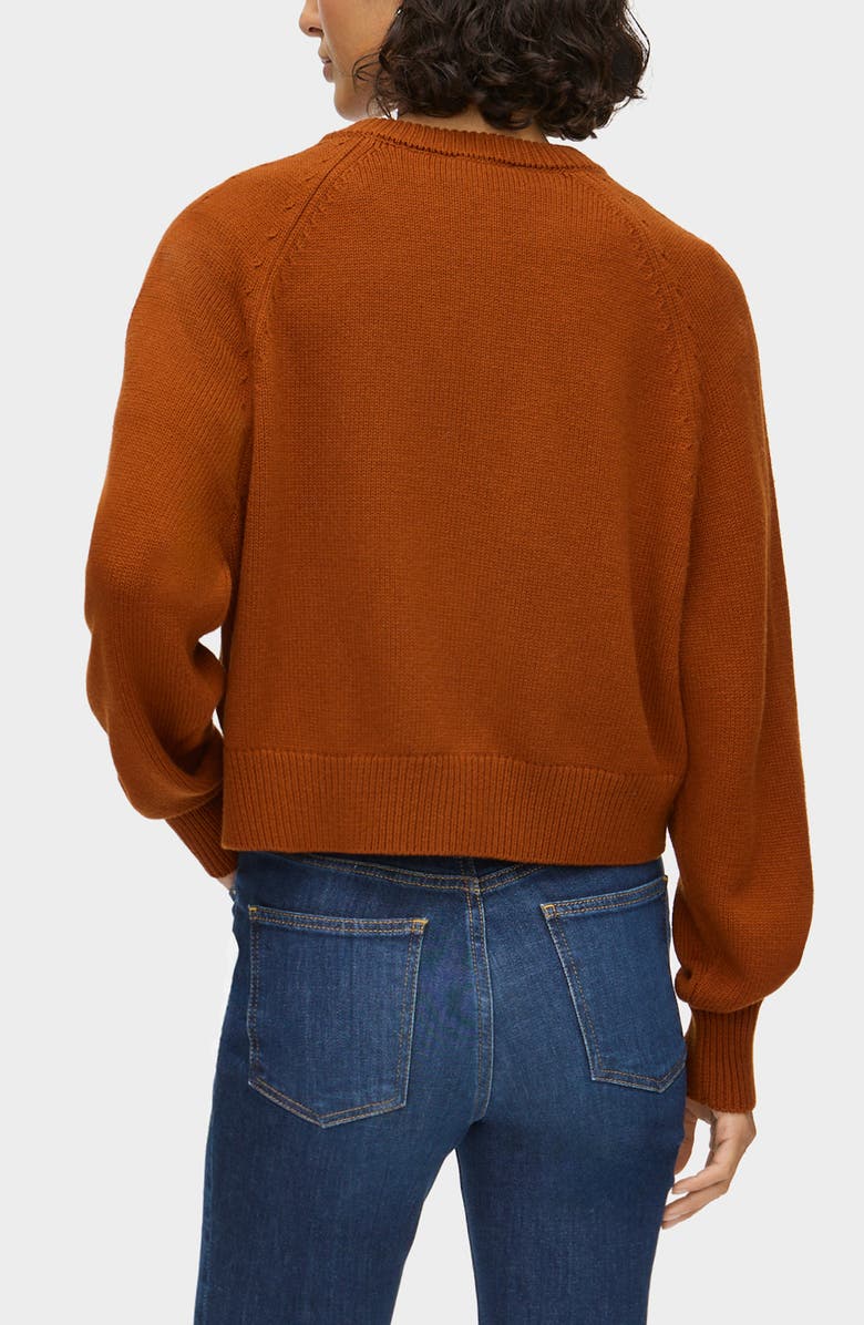 ALIGNE Tania Merino Wool & Cotton Cardigan, Alternate, color, Brown