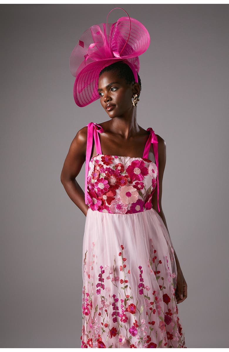 Coast Embroidered Mesh Midi Dress, Alternate, color, Pink