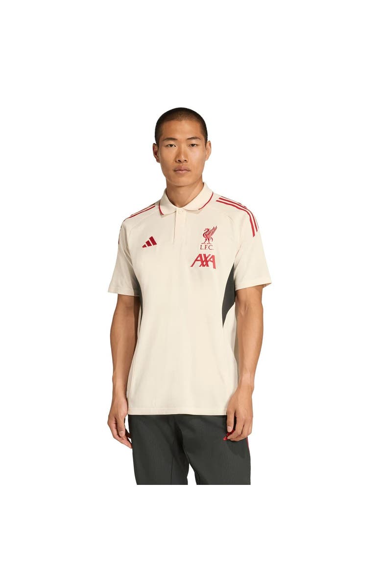 adidas Men's adidas Cream Liverpool 2025/26 Training Polo, Main, color, Cream