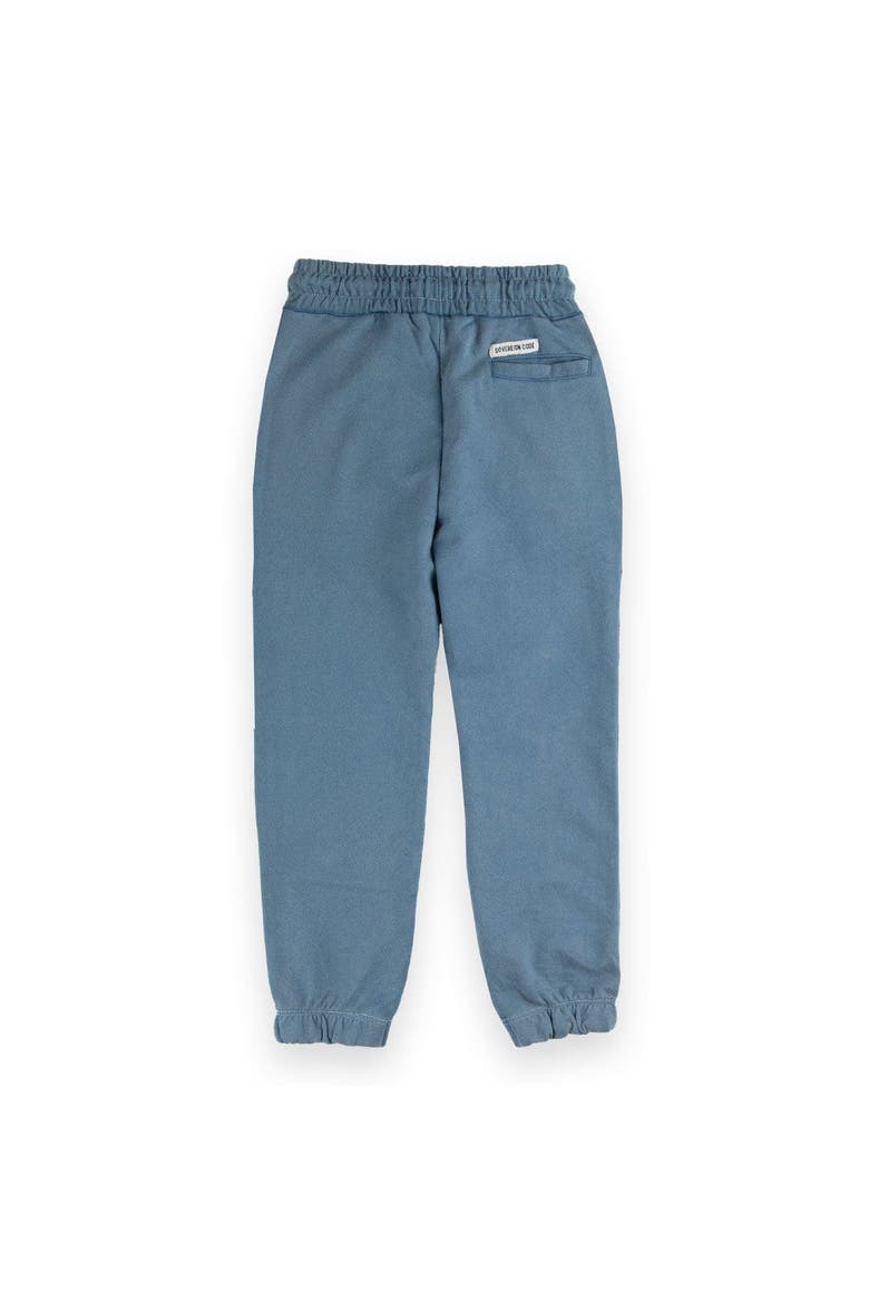Prove Pants, Alternate, color, Coronet Blue