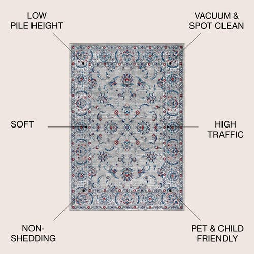 Jonathan Y Modern Persian Vintage Area Rug In Light Gray/red