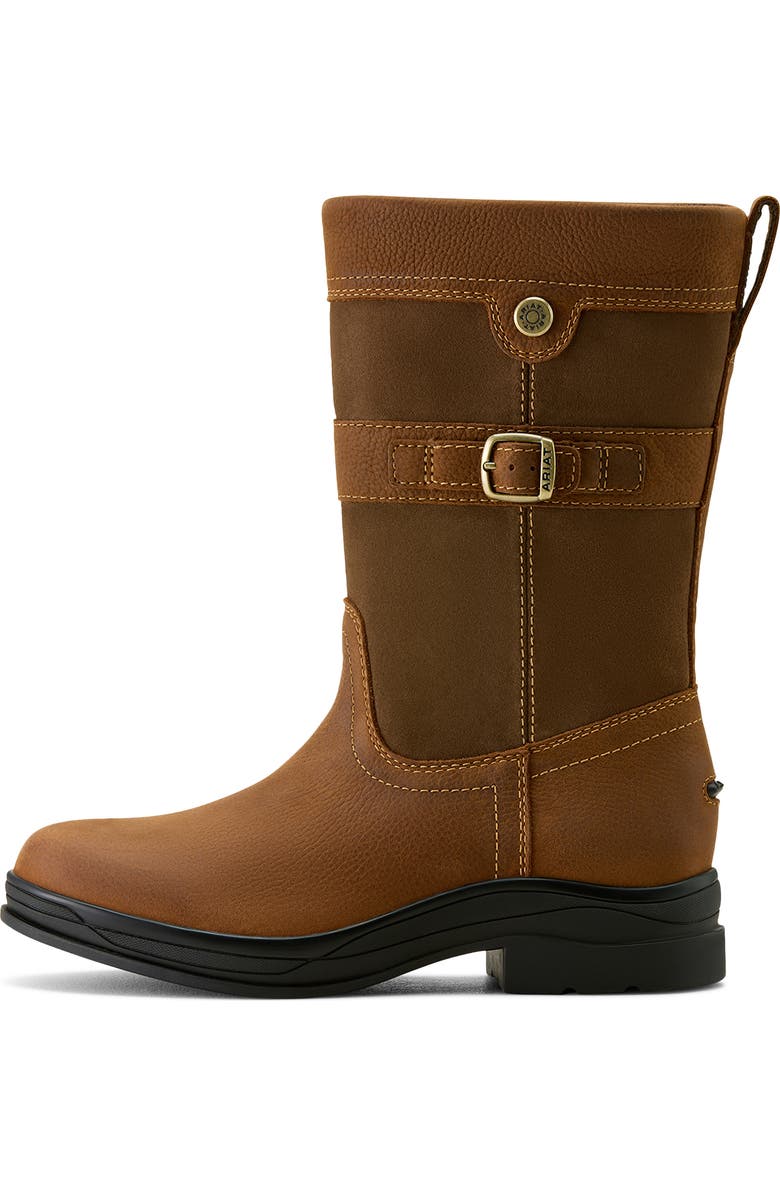 Ariat Bampton Waterproof Boot, Alternate, color, Baked Brown