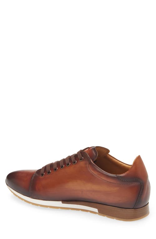 Mezlan Hybrid Sneaker In Cognac Rust