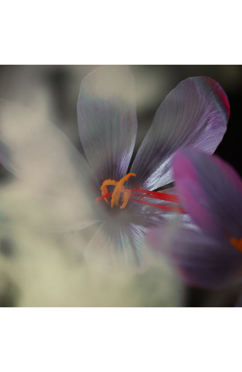 MAISON CRIVELLI Safran Secret Extrait de Parfum, Alternate, color, 