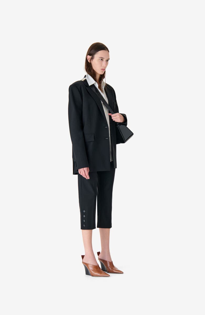 IRO Alapi Blazer, Alternate, color, Black