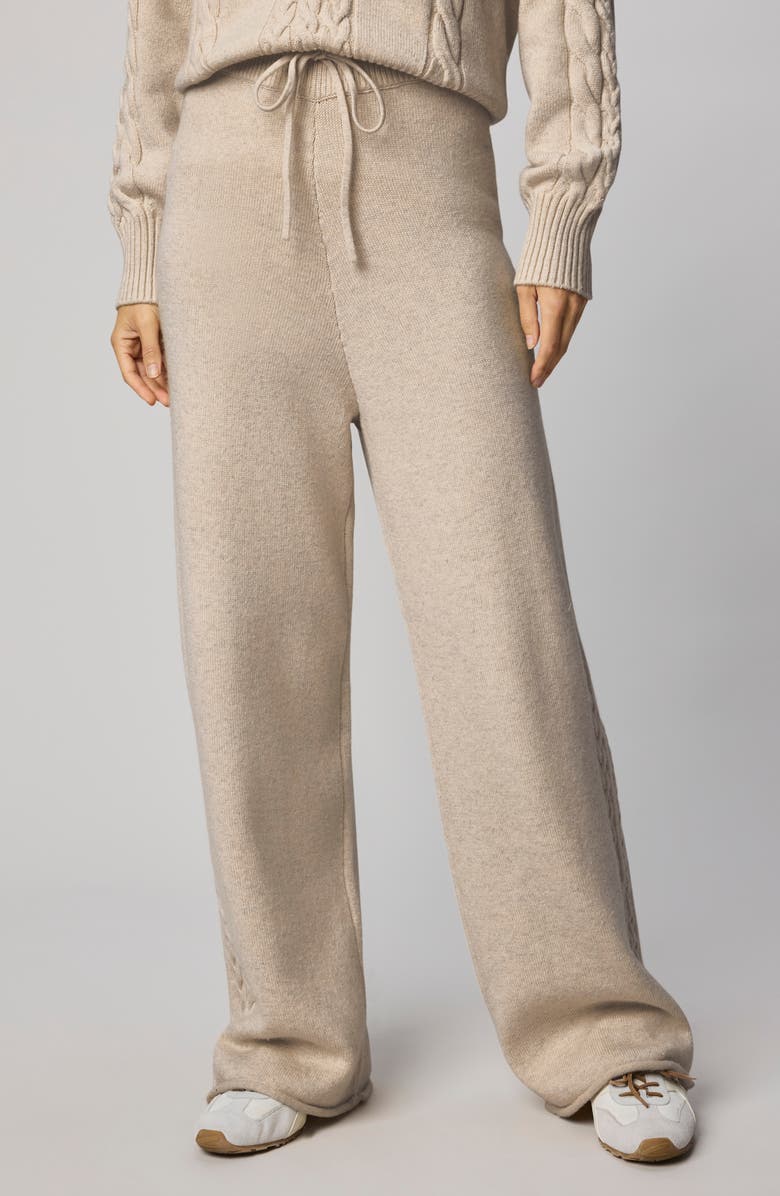 Splendid Jetset Sweater Pants, Main, color, Cappuccino Brown