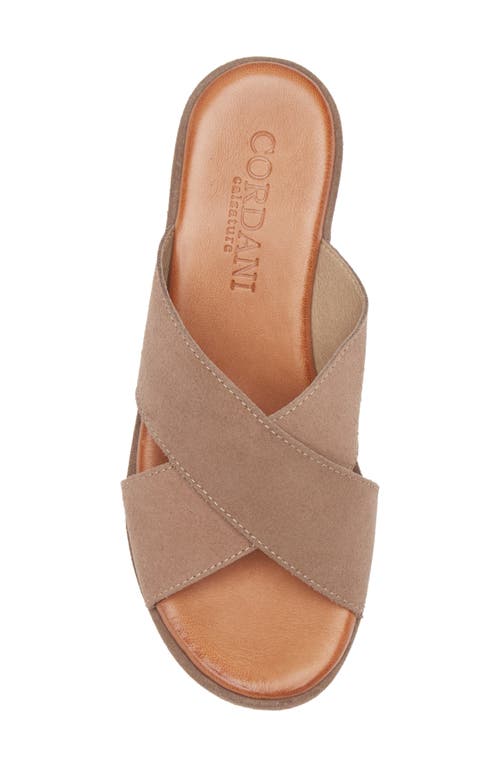 Cordani Bella Platform Wedge Slide Sandal In Taupe