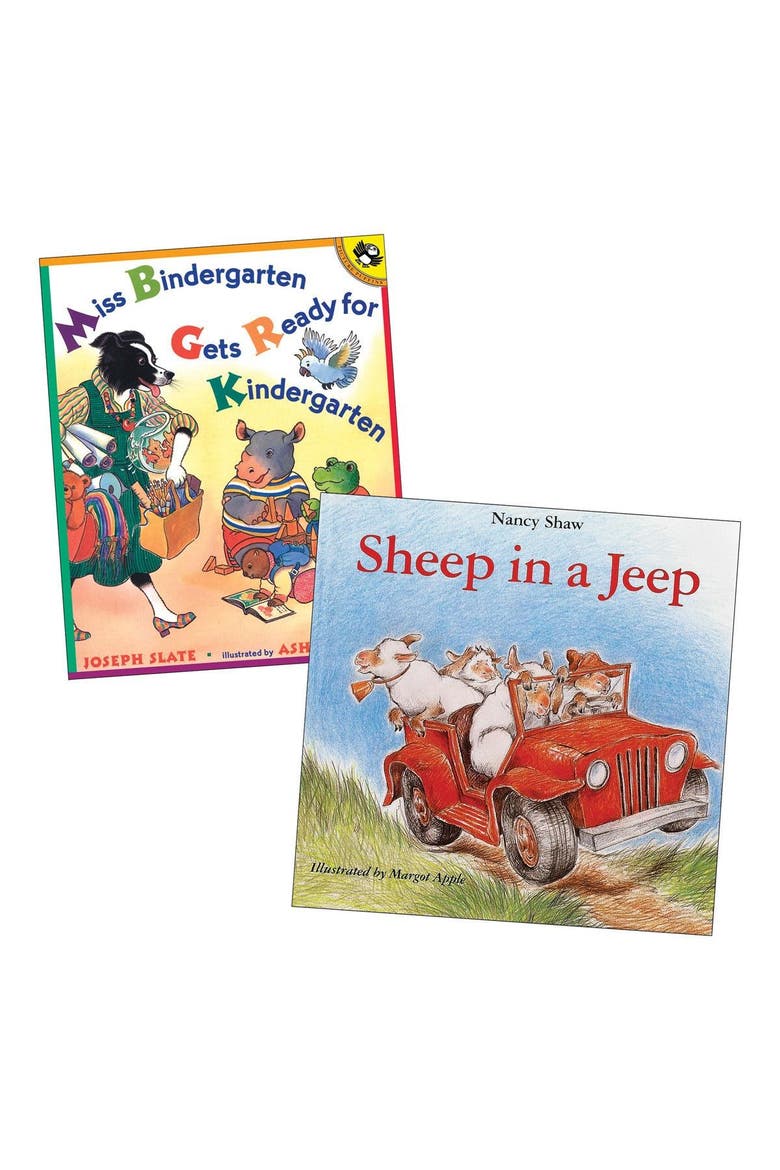 Phonemic Awareness Books - Set of 7, Alternate, color, Multicolored