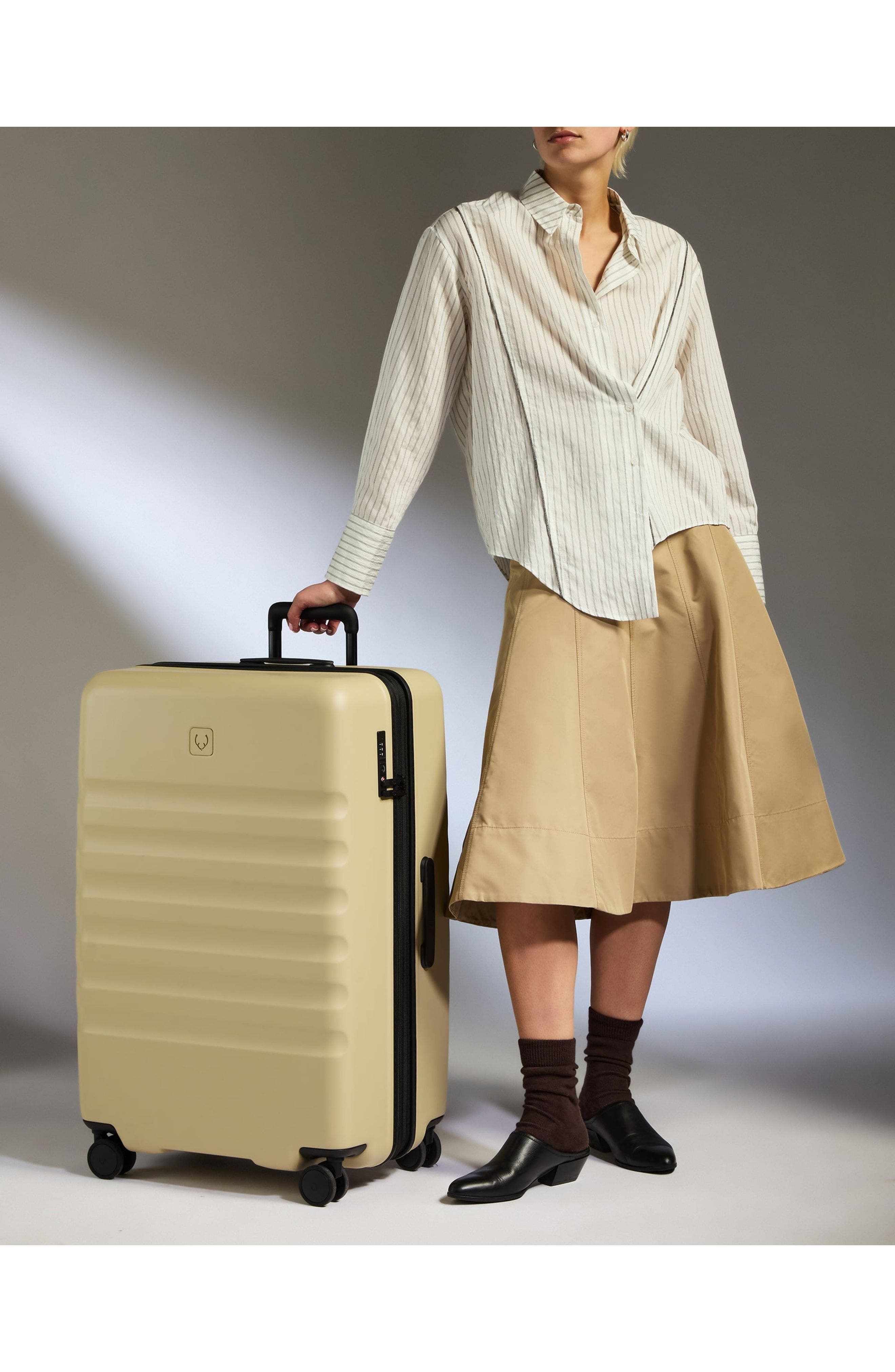 ANTLER Large Luggage - Icon Stripe, Alternate, color, Dune