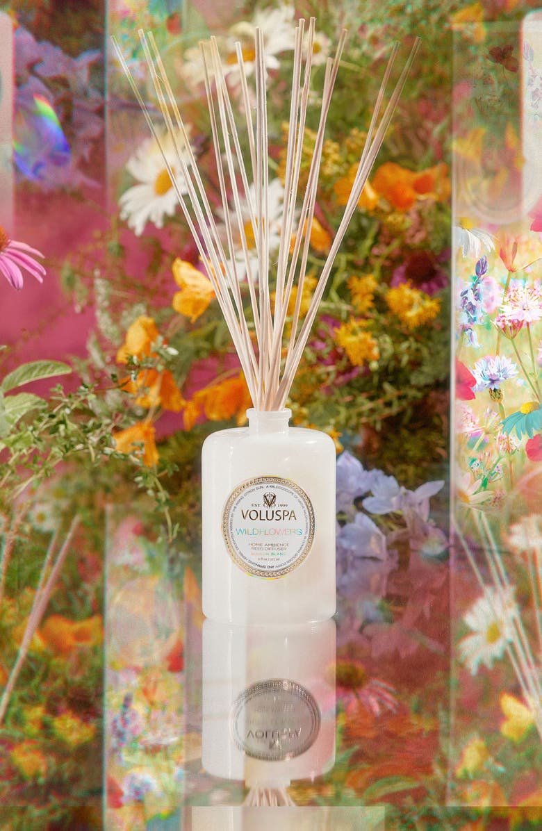 Voluspa Wildflowers Reed Diffuser, Alternate, color, Wildflowers