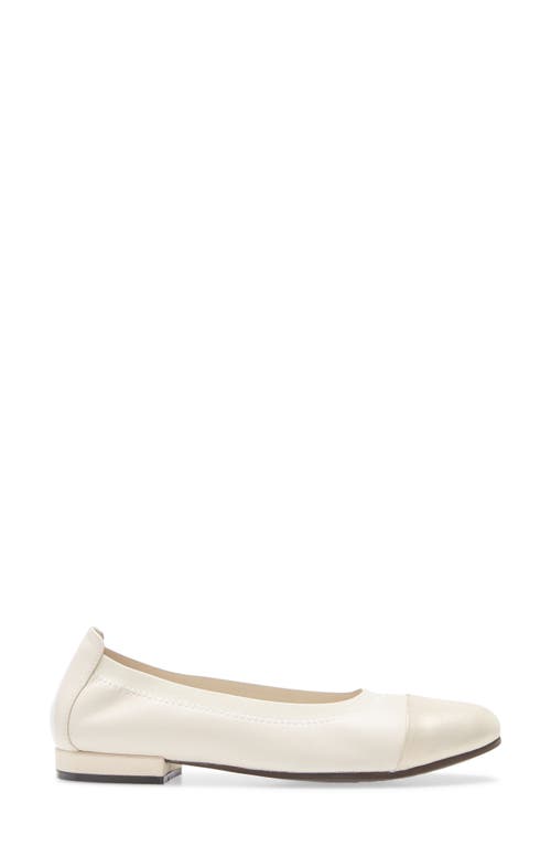 David Tate Nicole Cap Toe Flat