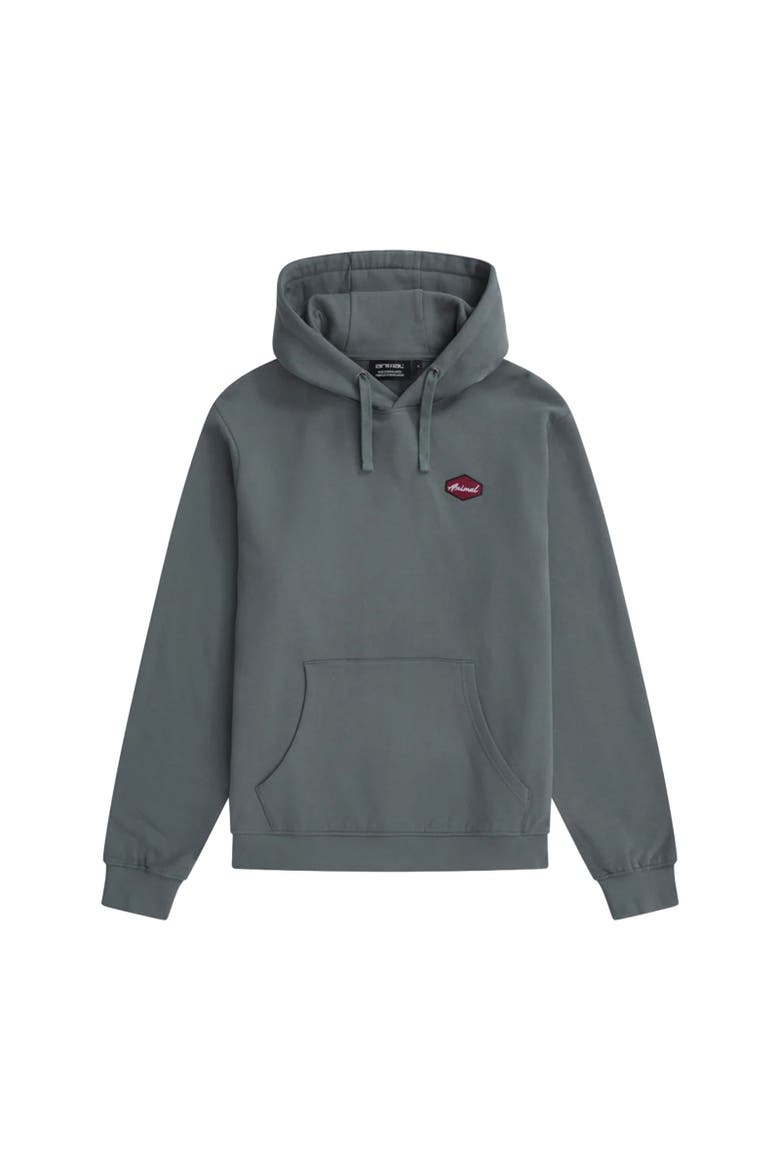 River Natural Hoodie, Main, color, Green