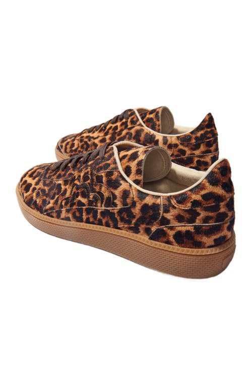 Maje Leopard Print Leather Trainers In Leopard Print