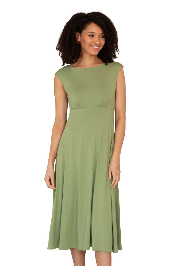 Luna Boat Neck Floral Midi Dress, Main, color, Pistachio