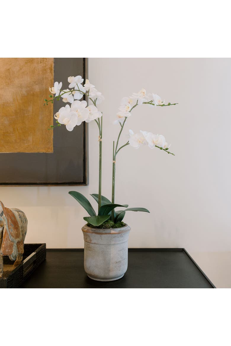 Artificial 2-Stem Phalaenopsis White Orchid, Alternate, color, White