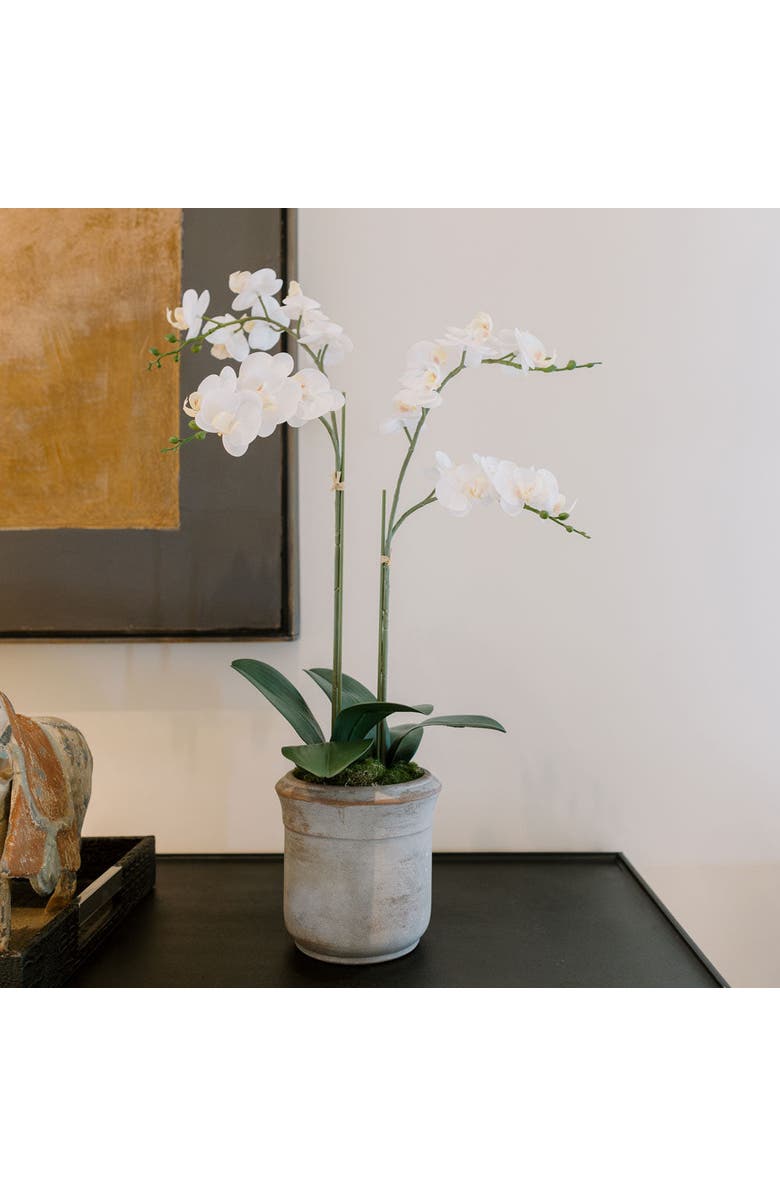 CG Hunter Artificial 2-Stem Phalaenopsis White Orchid, Alternate, color, White