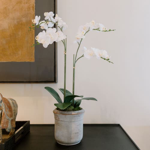 Cg Hunter Artificial 2-stem Phalaenopsis White Orchid In White