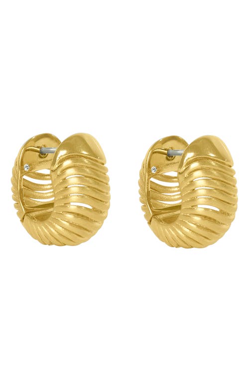 Dean Davidson Trancoso Huggie Hoop Earrings In Gold