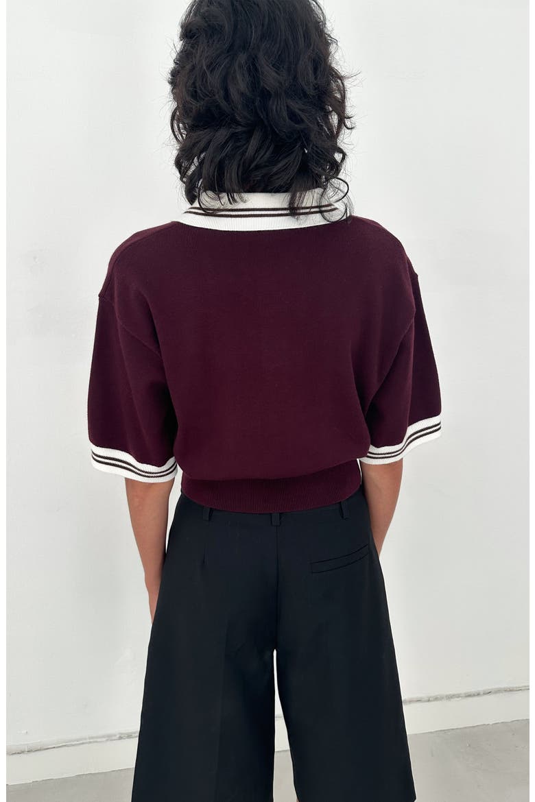 Remy Cropped Polo Knit Top, Alternate, color, Burgundy