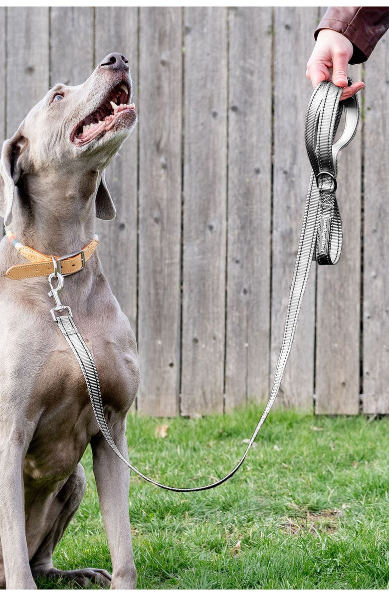 Puppington Reflective Leash, Alternate, color, Charcoal Gray