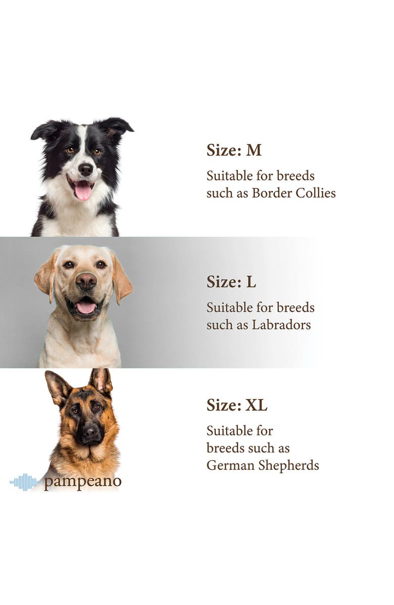 pampeano Pampa Dog Collar - Multi, Alternate, color, 