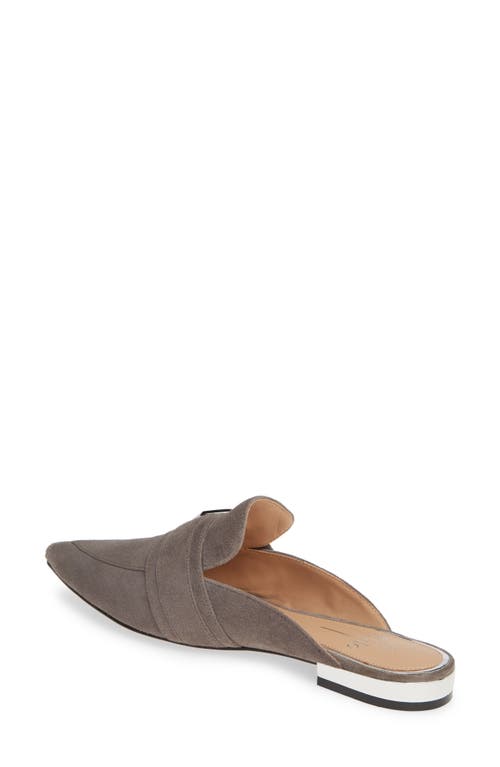 Linea Paolo Ace Buckle Pointed Toe Mule In Brown