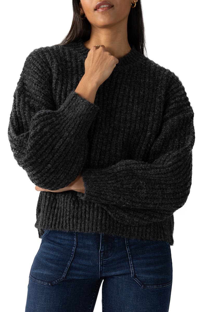 Sanctuary Fuzzy Volume Sleeve Sweater, Main, color, 