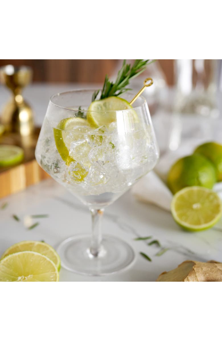 Viski Raye Crystal Gin & Tonic Glasses Set of 4, Alternate, color, Clear