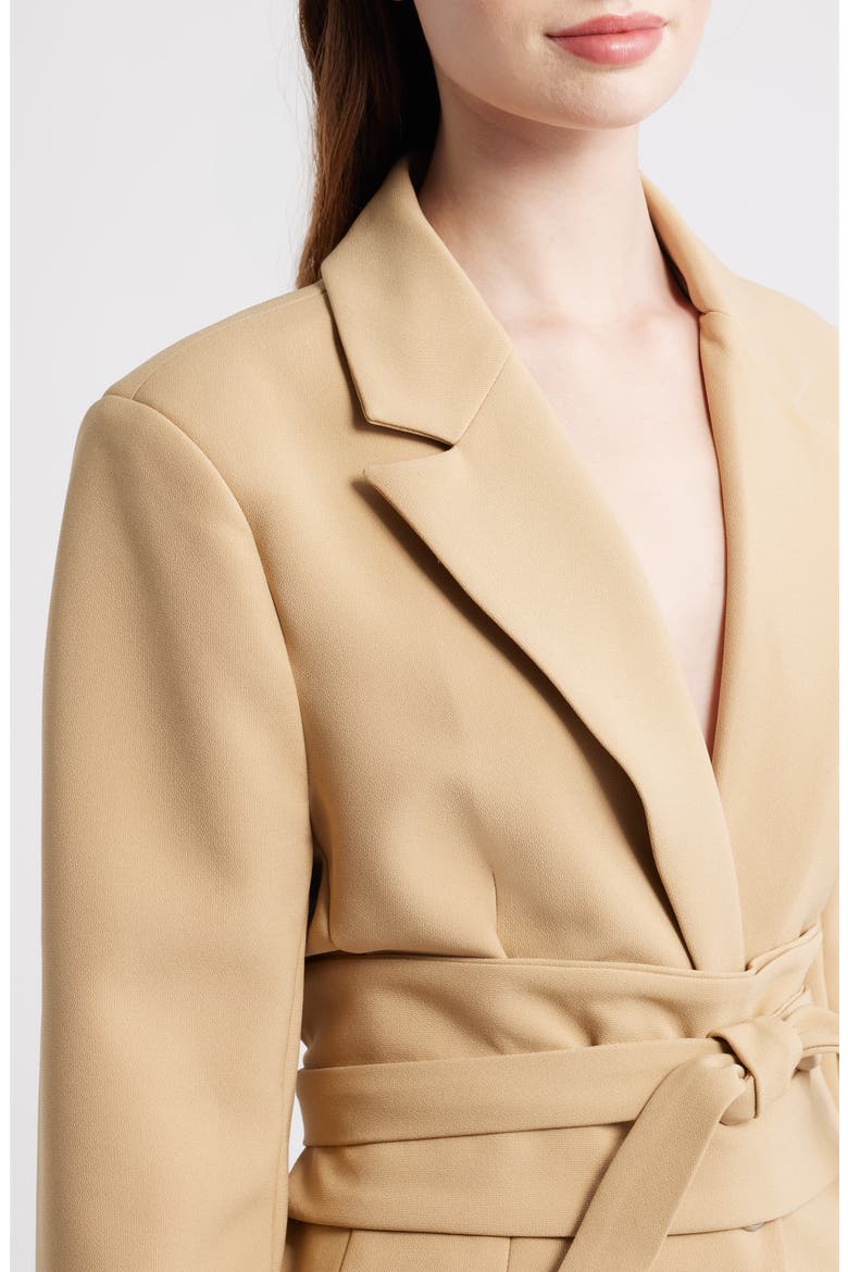 The Ultimate Muse Belted Blazer, Alternate, color, CAMEL
