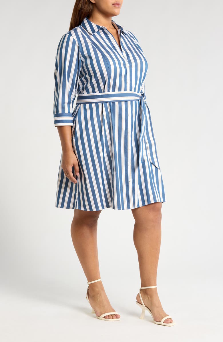 Foxcroft Fiona Stripe Belted Shirtdress, Alternate, color, 
