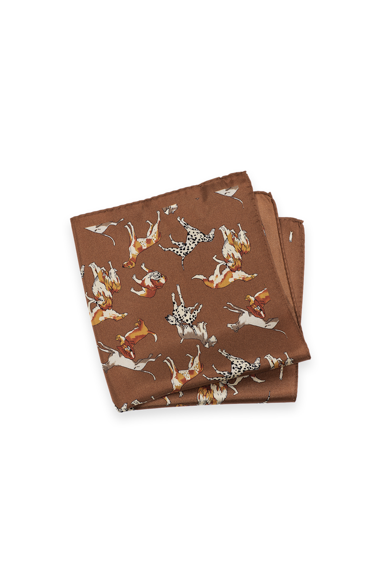 Paul Fredrick Patterned Silk Pocket Square, Main, color, Brown Multi