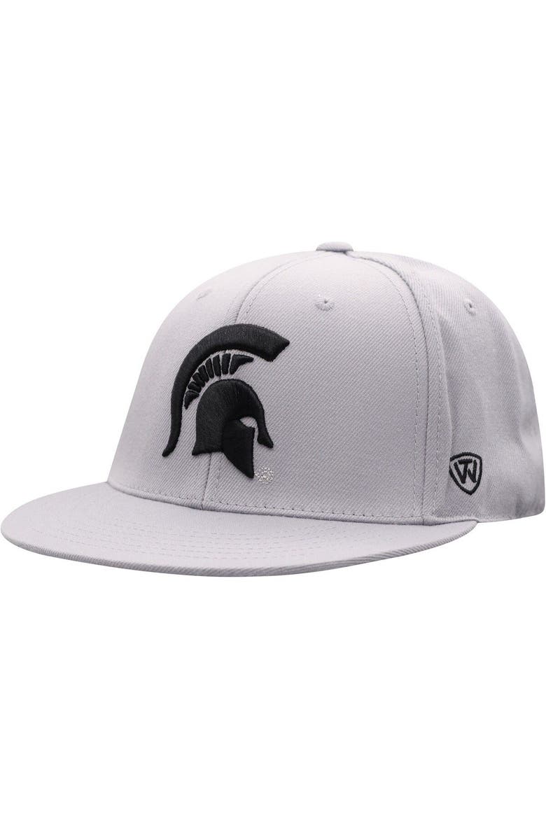 Men's Top of the World Gray Michigan State Spartans Fitted Hat, Main, color, Gray