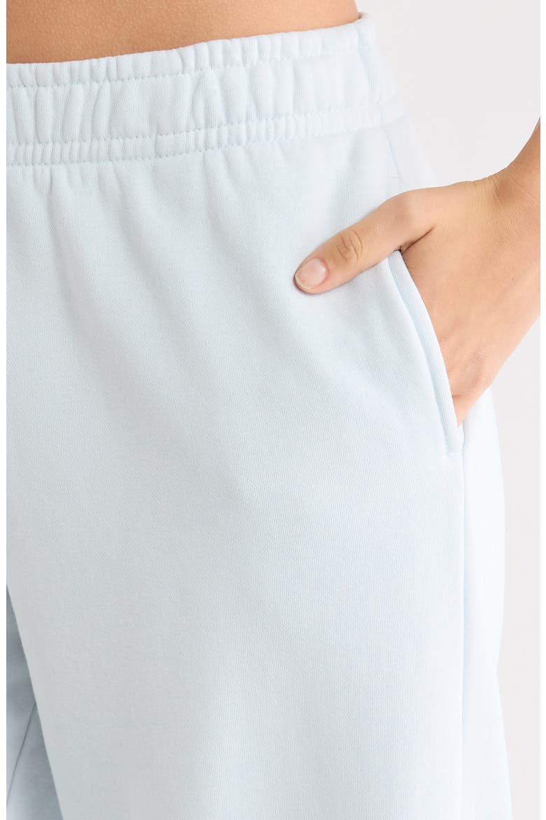 Seashell Extreme Baggy Sweatpants, Alternate, color, LIGHT BLUE