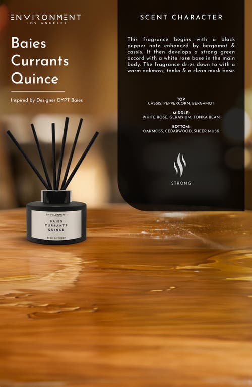 Environment Inspired By Designer Perfume Diffuser In Black
