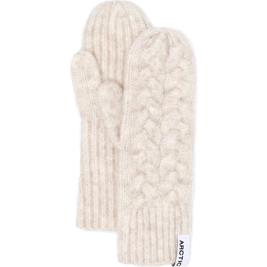 Arctic Fox & Co. Arctic Fox & Co The Mohair & Merino Wool Blend Mittens In Neutral