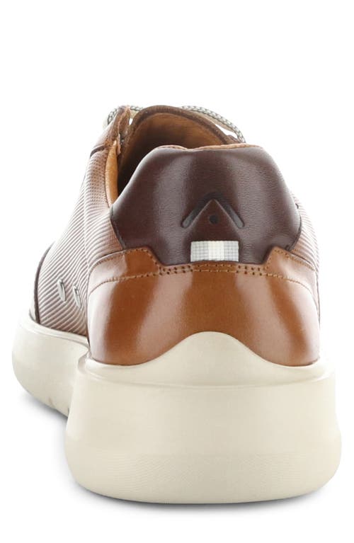 AMBITIOUS AMBITIOUS 12863 LOW TOP SNEAKER