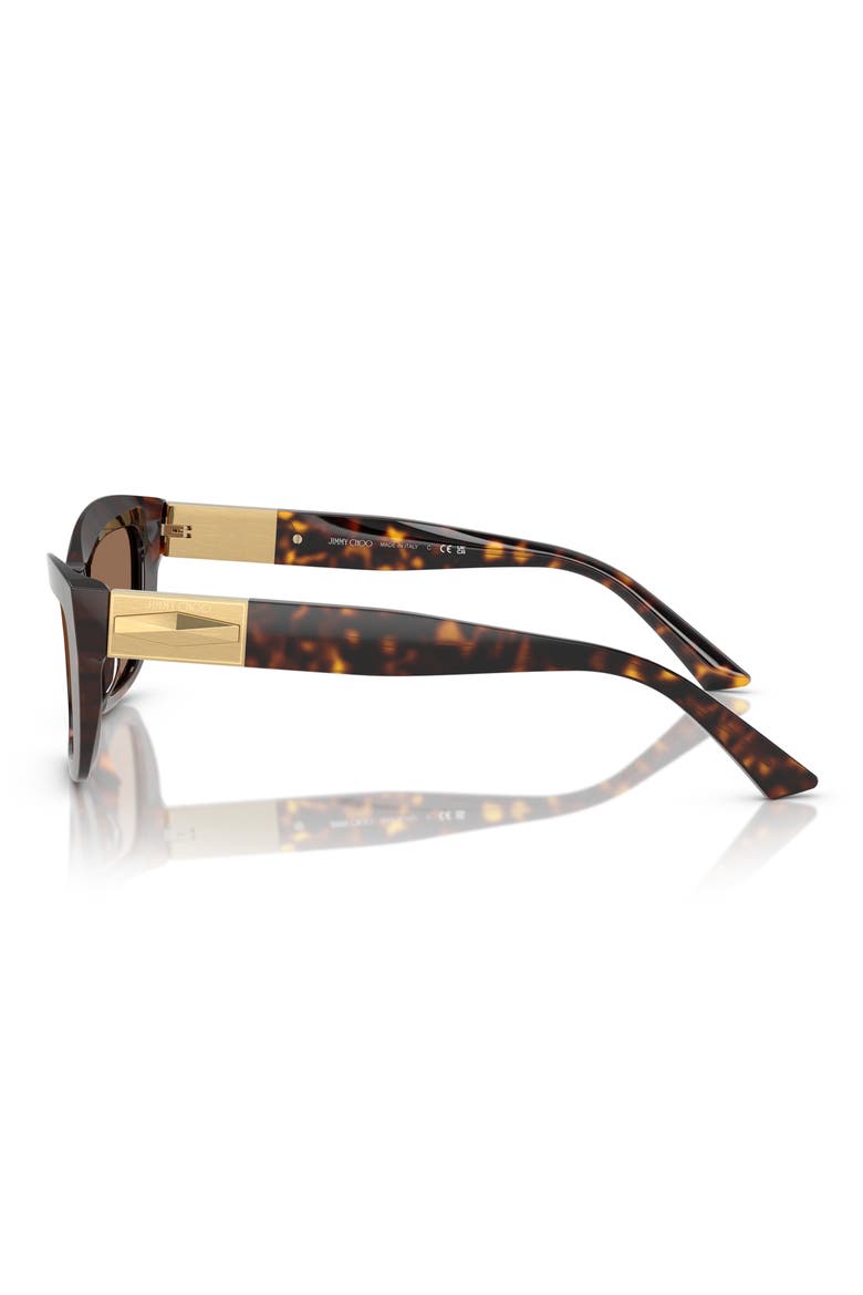 54mm Cat Eye Sunglasses, Alternate, color, HAVANA