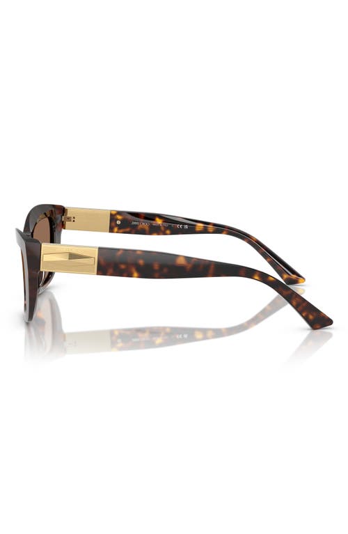 Jimmy Choo 54mm Cat Eye Sunglasses In Havana