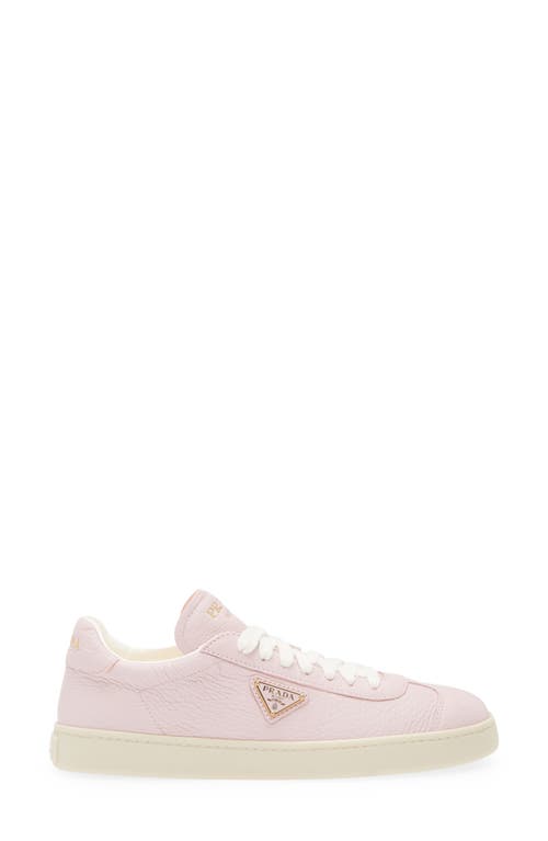 Shop Prada Lane Triangle Logo Deerskin Leather Sneaker In Alabastro