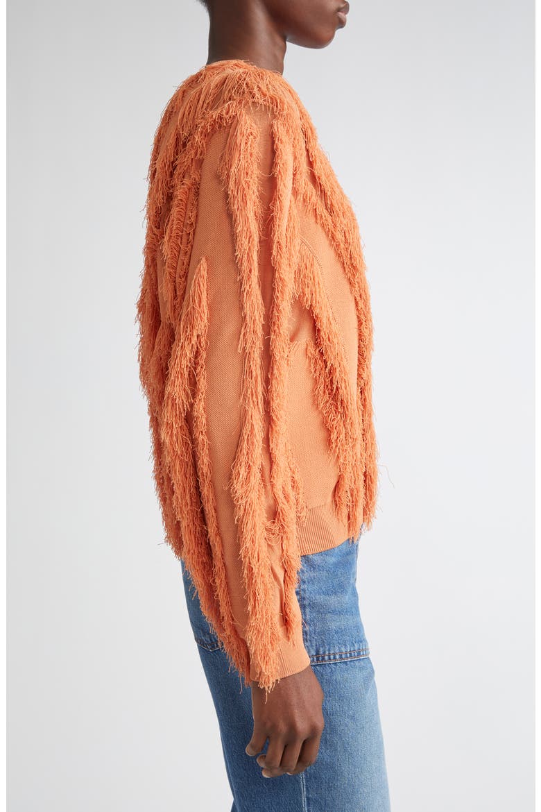 Aubree Fringed Sweater, Alternate, color, TULIP