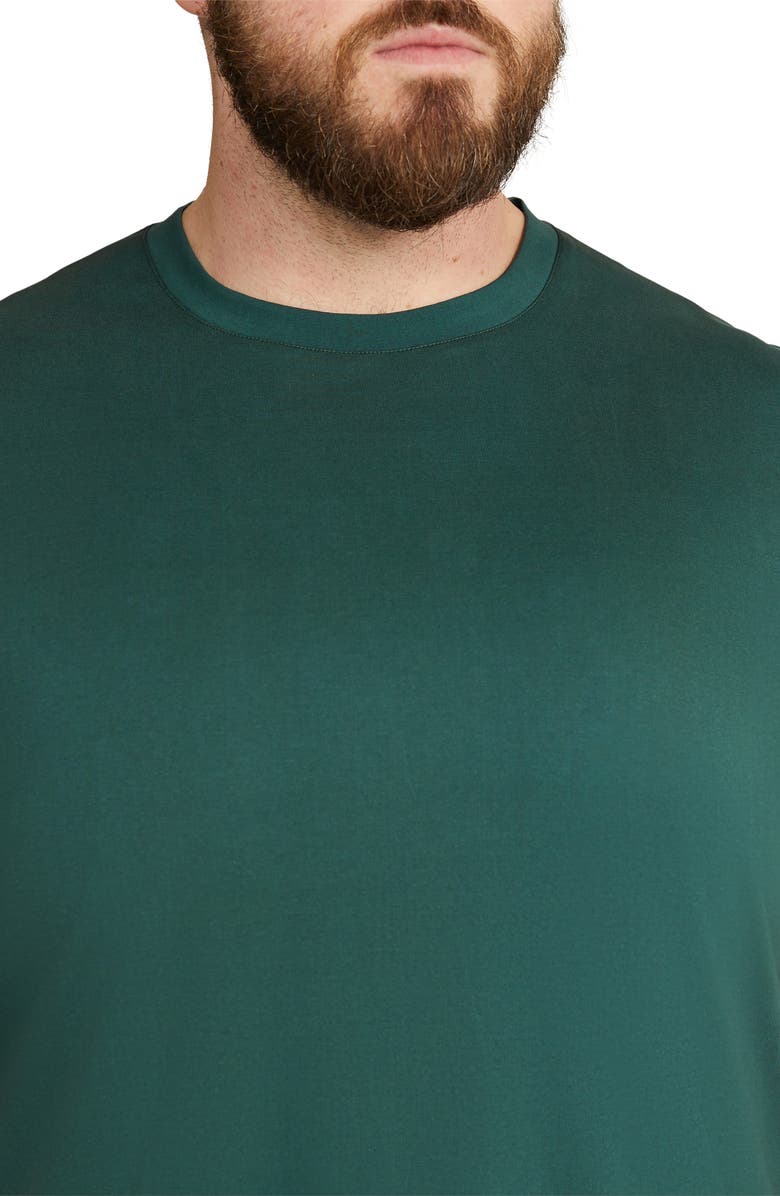 Johnny Bigg Modern Fit Organic Cotton T-Shirt, Alternate, color, 