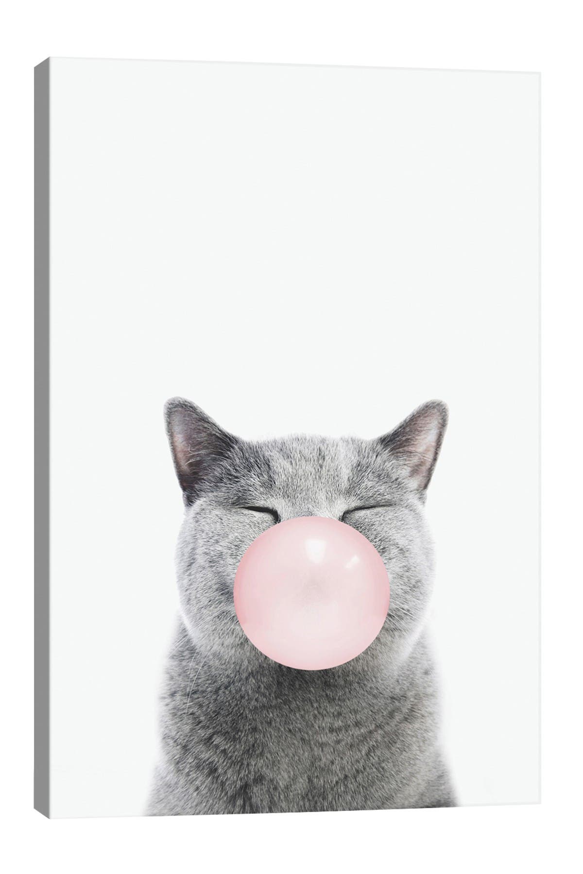 iCanvas Gray Cat Pink Bubble Gum by Amy Peterson Canvas Wall Art - 18 ...
