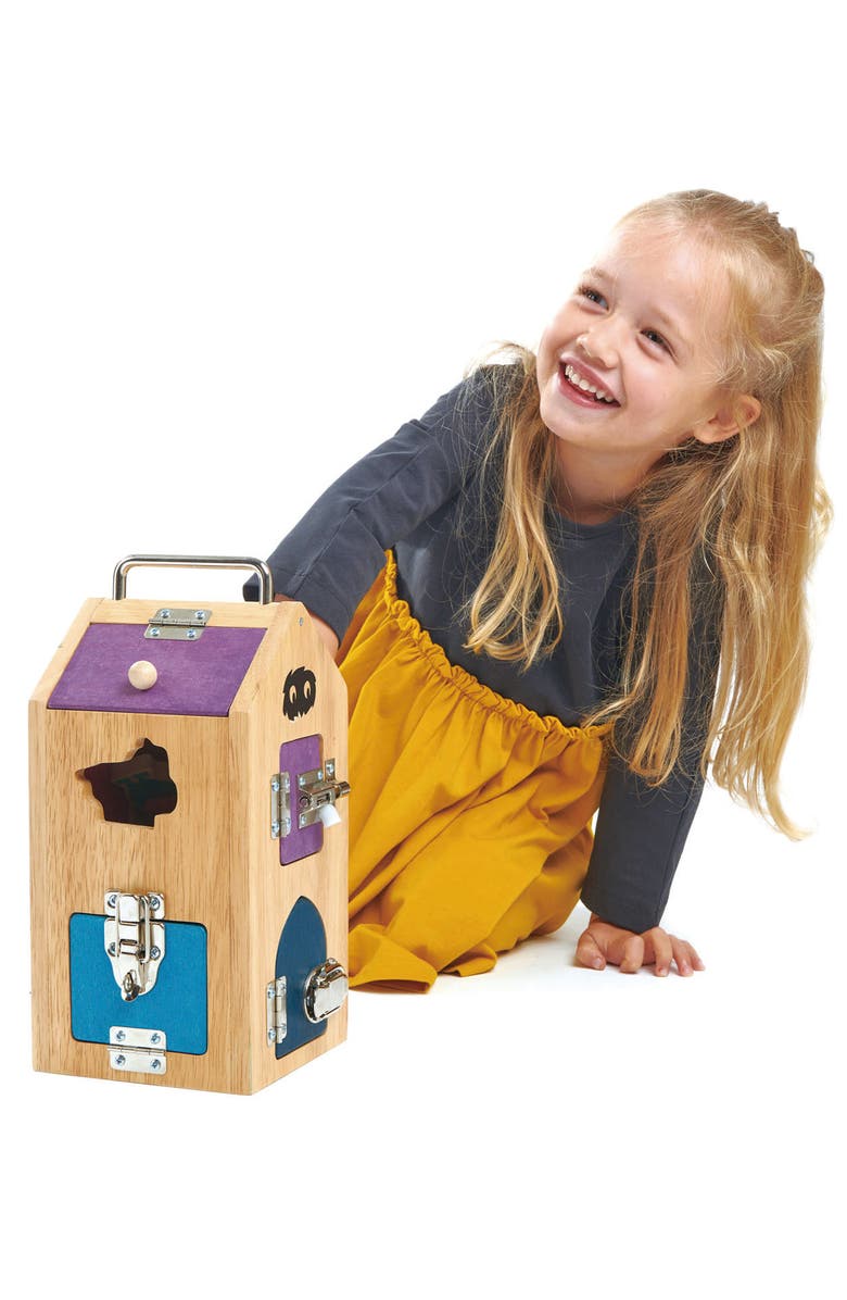 Tender Leaf Toys Monster Lock Box, Alternate, color, Multi