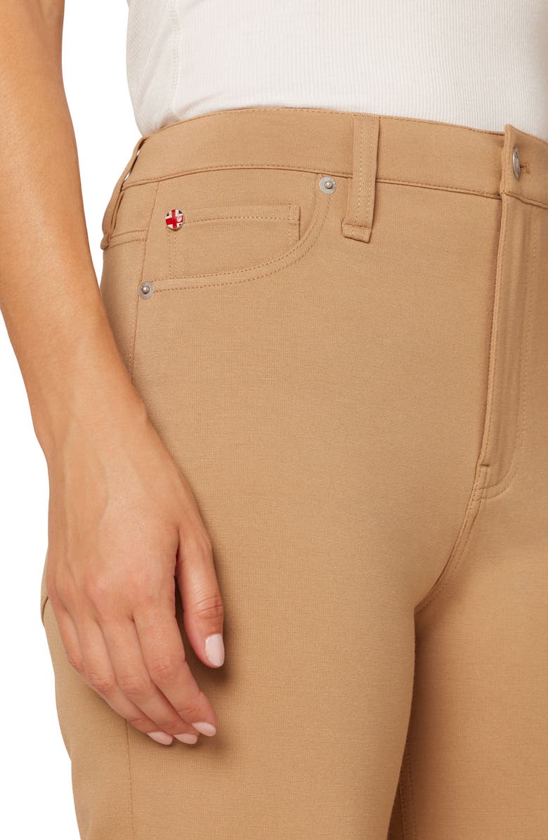 Hudson Jeans Noa Crop Straight Leg Jeans, Alternate, color,