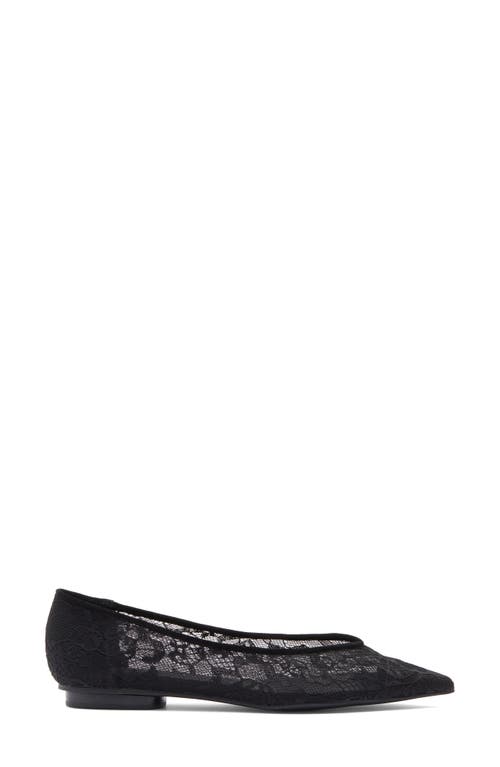 Rebecca Minkoff Lace Pointed Toe Ballet Flat In Black